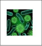 Picture for category Sanitisers and Restoration Products