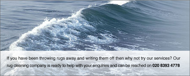 Professional Domestic Rug Cleaning of Persian, Oriental and Modern Rugs